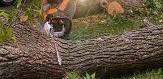 Best Lawn Irrigation Installation and Maintenance  in Hopewell, NJ